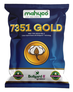MRC-7351-GOLD-BG-II